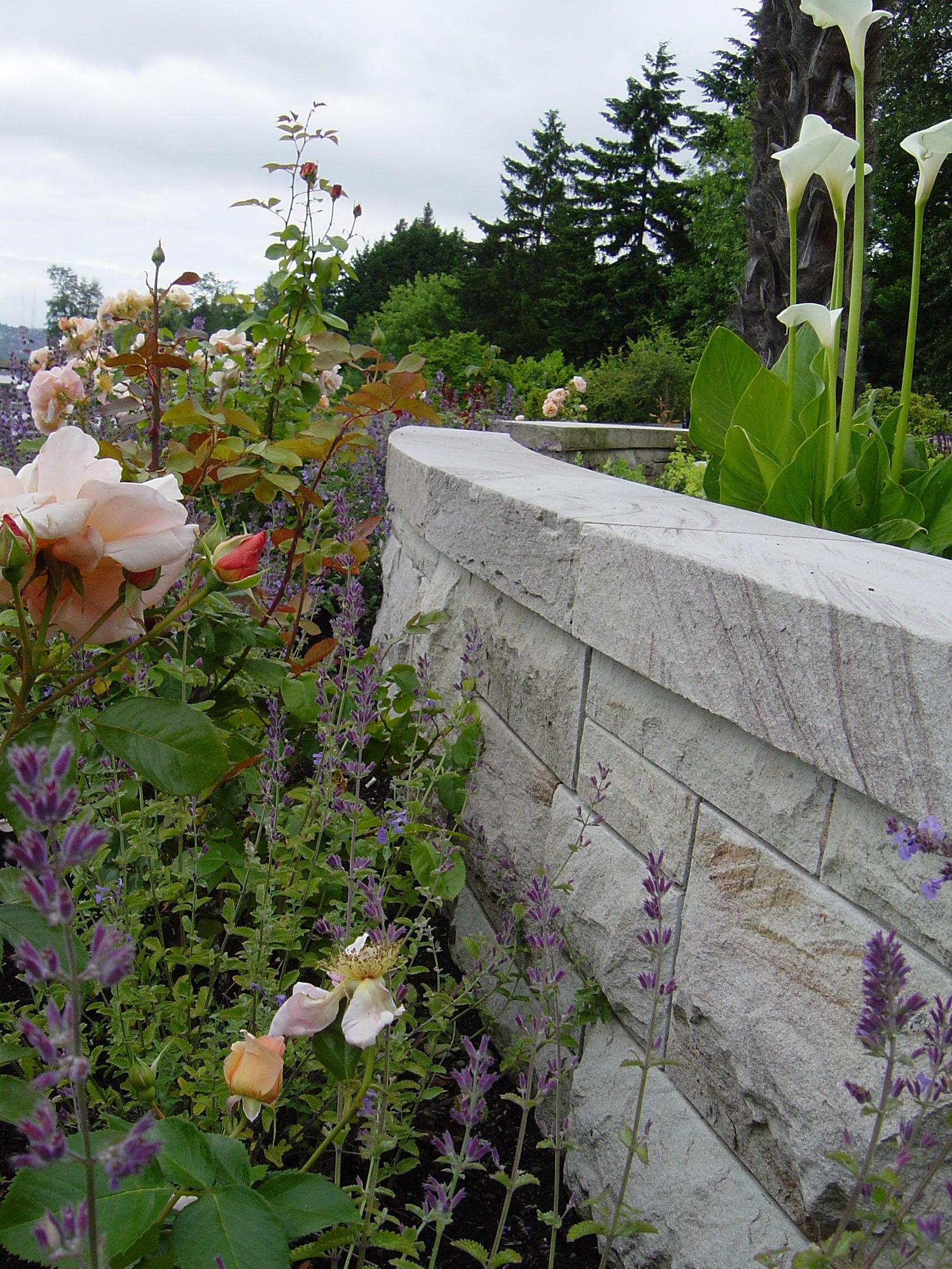 Edmonds Landscaping Project Example