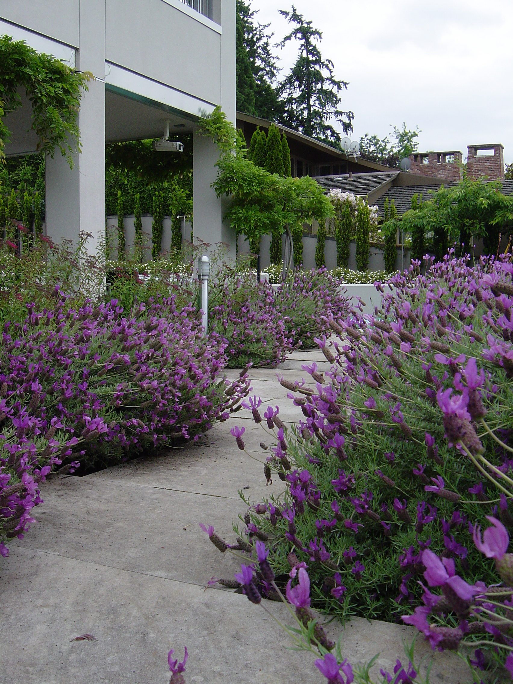 Edmonds Landscaping Project Example