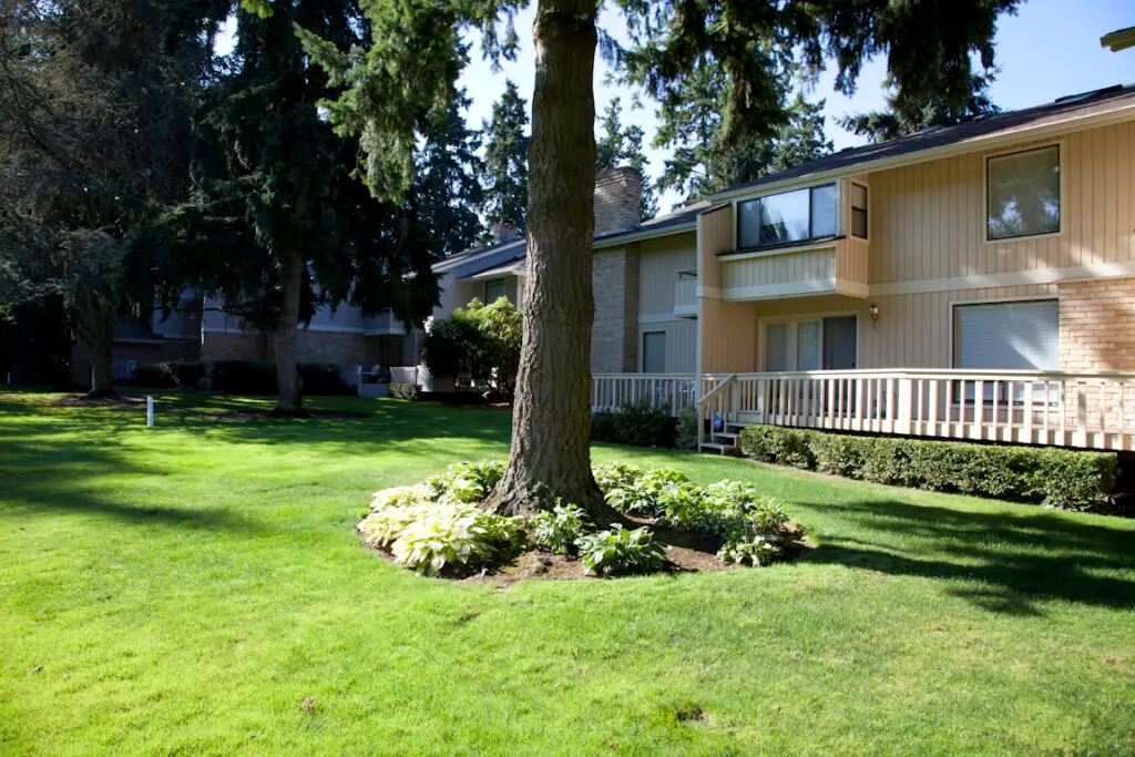 Multi-Family Image